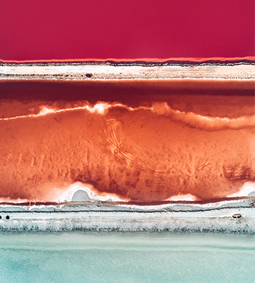TOM HEGEN